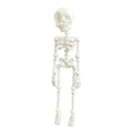 3D printed skull design refridgerator magnet in multiple colours, 18cm tall.