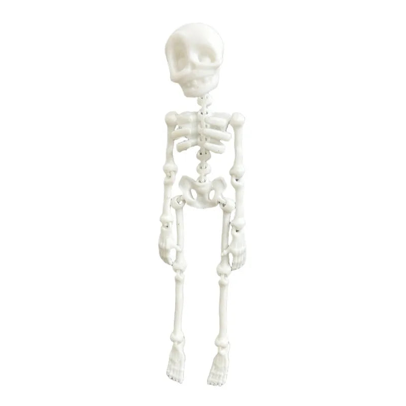 3D printed skull design refridgerator magnet in multiple colours, 18cm tall.