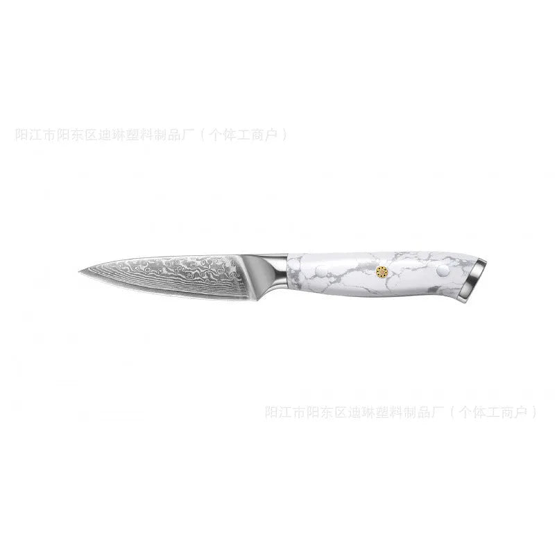 Damascus pattern VG10 steel chef knife with 21cm blade and modern handle