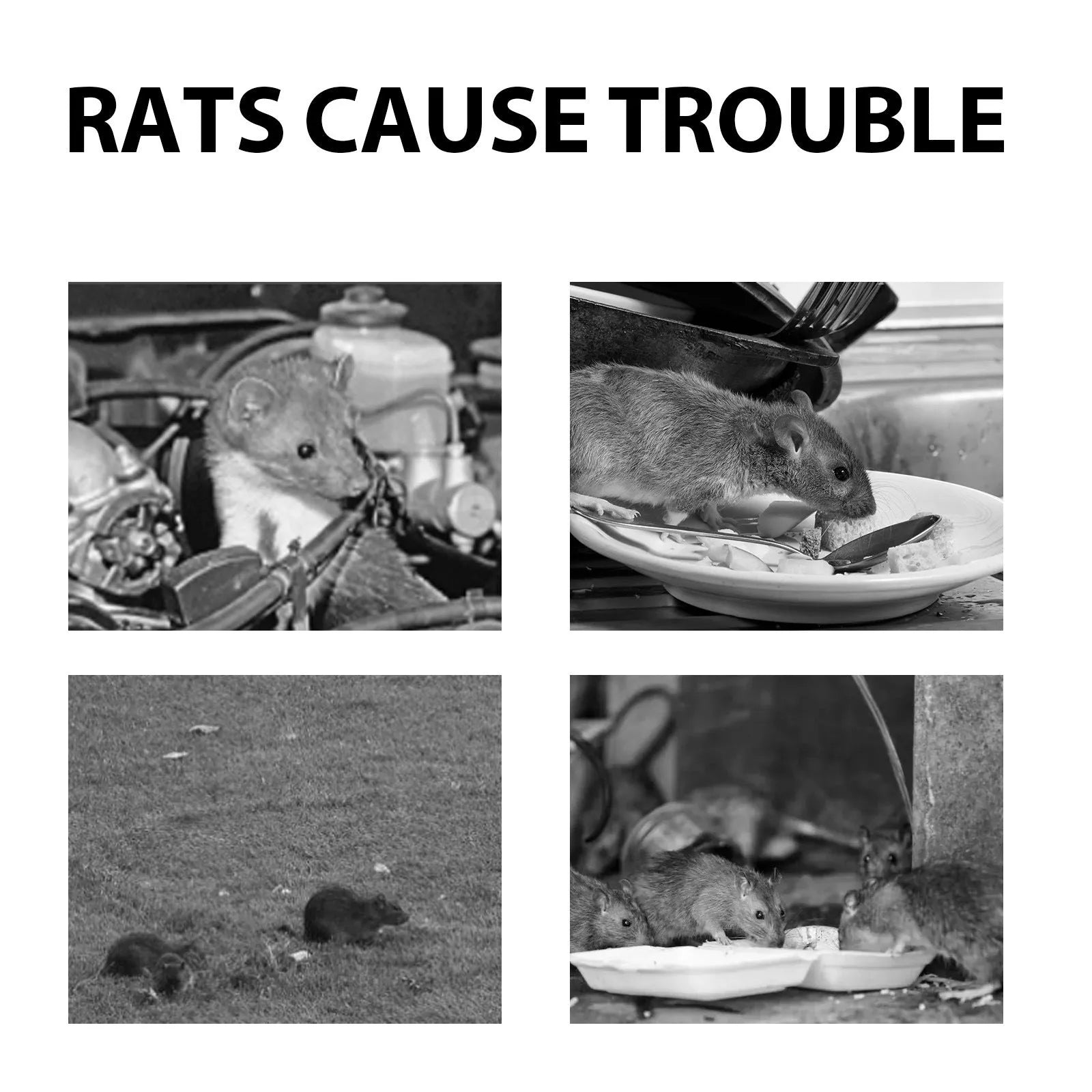 60ml bottle of natural rat repellent spray for home, outdoor, and car use.