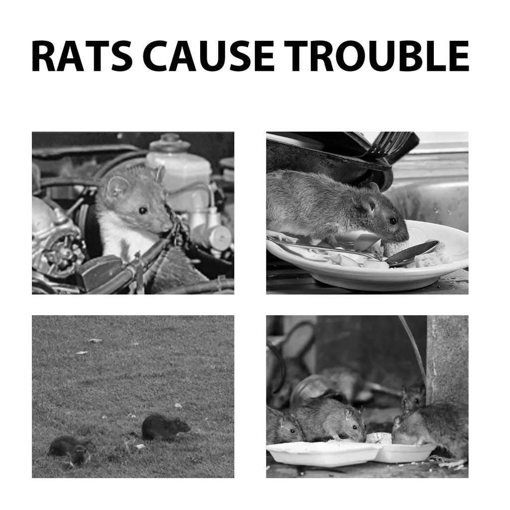 60ml rat repellent spray bottle with natural essential oil formula for home and outdoor rodent control