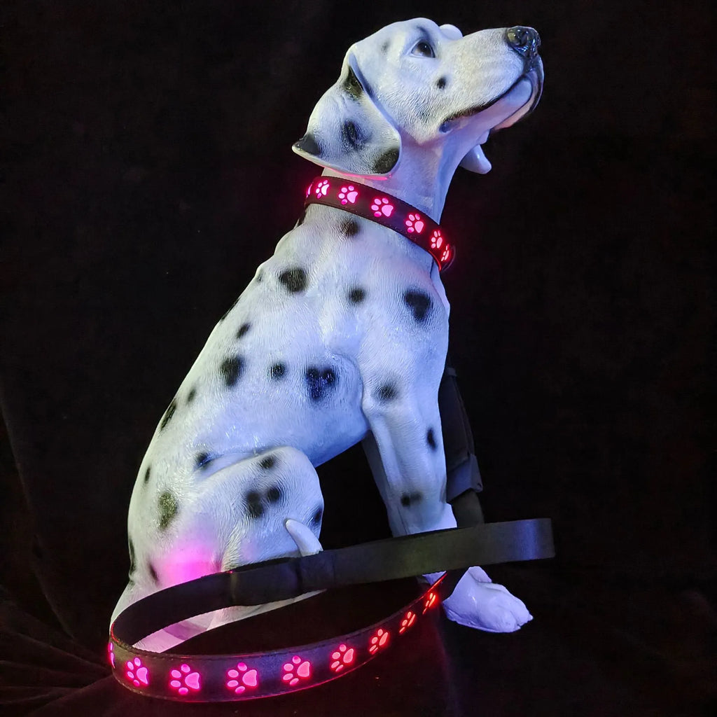 LED luminous cat collar showing 7 colour-changing lights on a polyester band with USB charging port