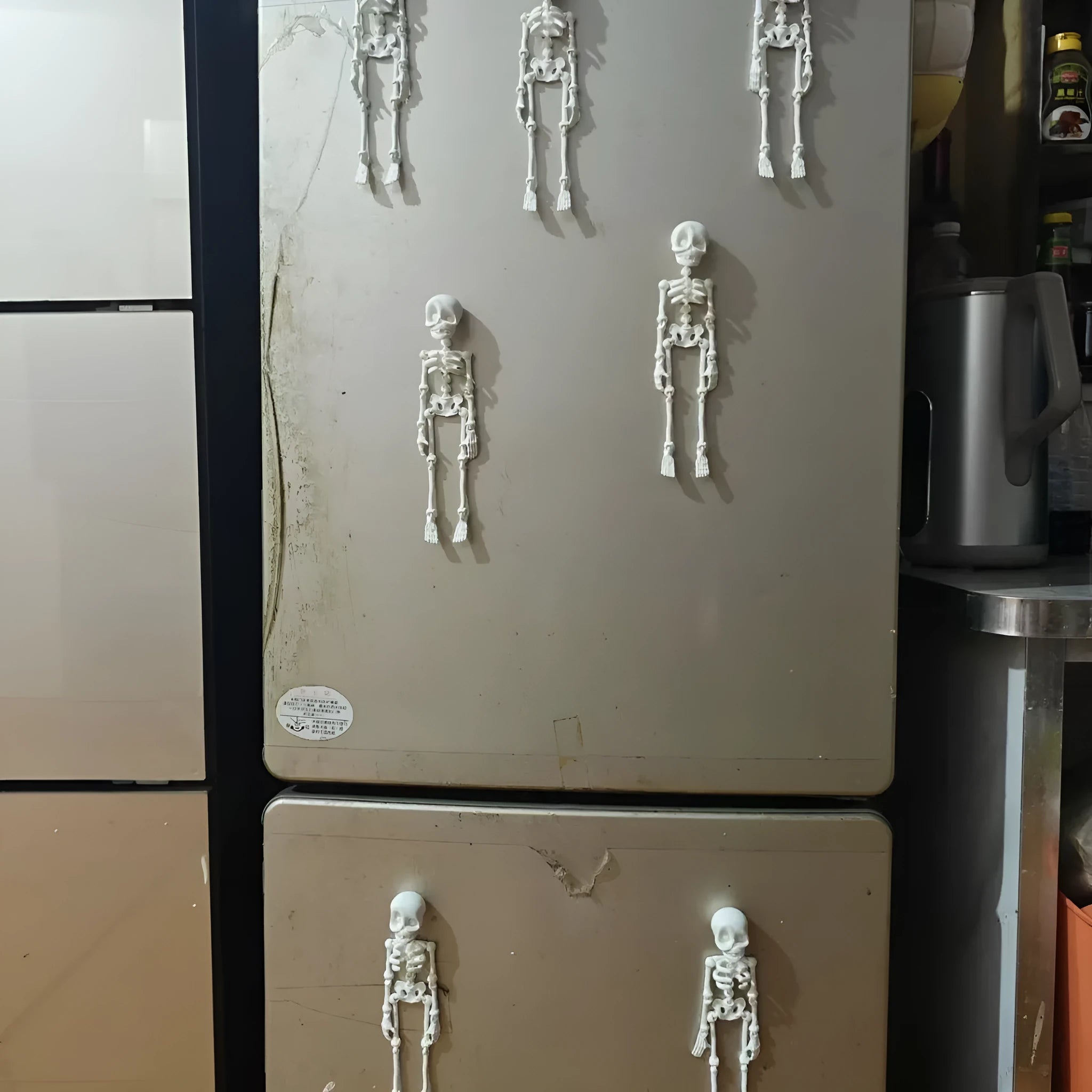 3D printed skull design refridgerator magnet in multiple colours, 18cm tall.