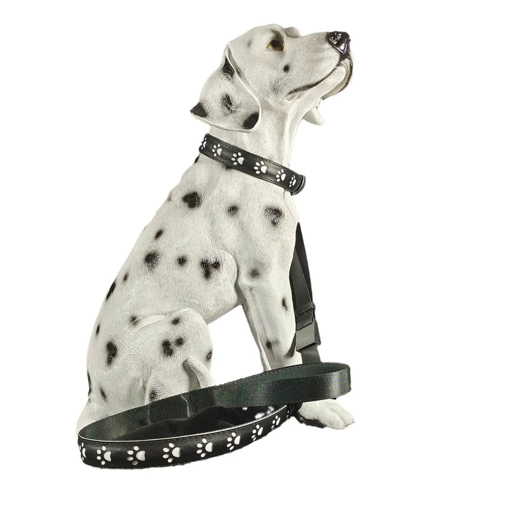 LED luminous cat collar showing 7 colour-changing lights on a polyester band with USB charging port