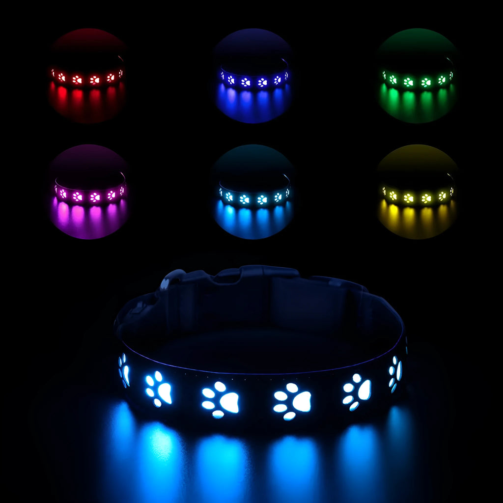A dog wearing a black polyester LED collar with glowing multi-coloured lights and a paw print pattern.