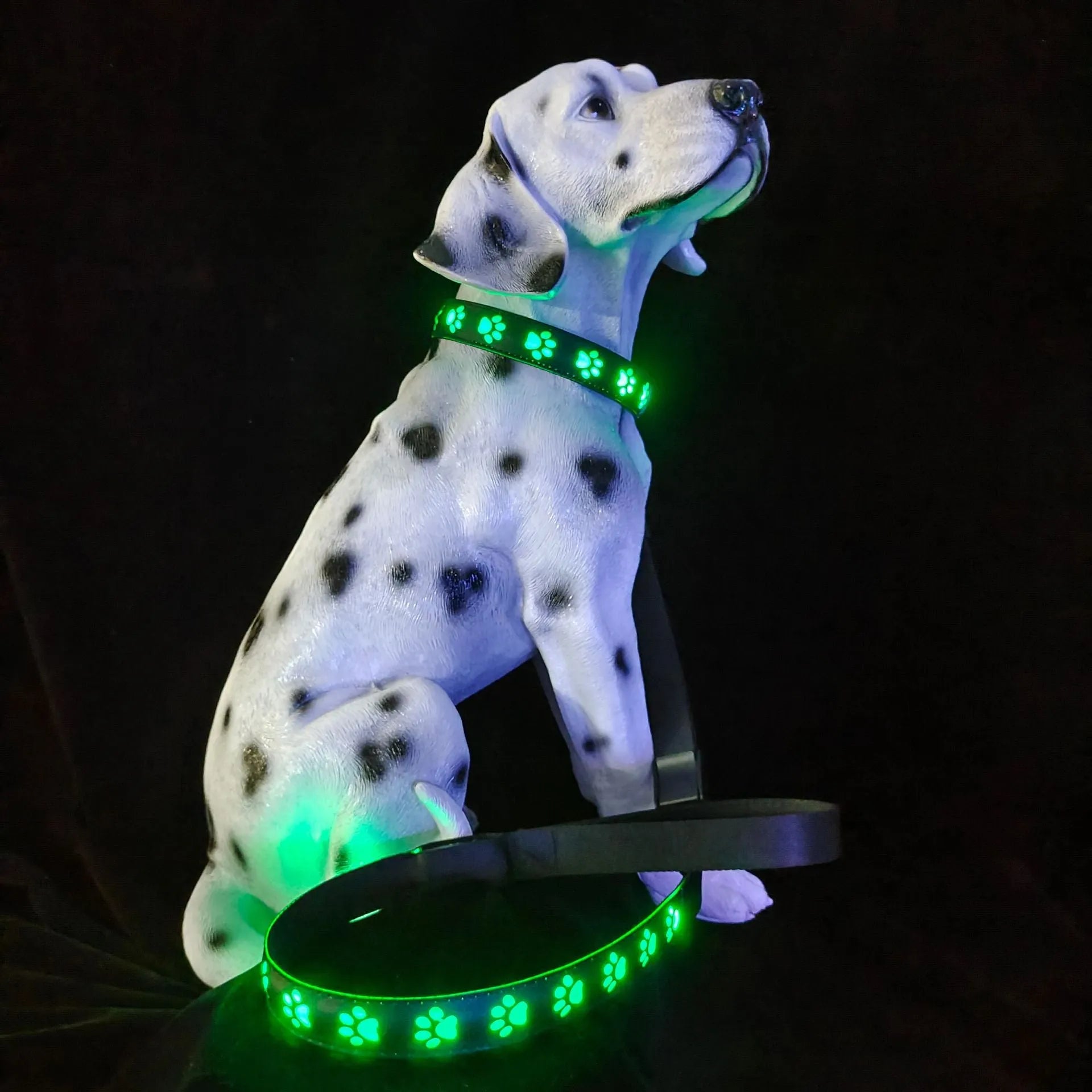 A dog wearing a blue polyester LED collar emitting multi-coloured light on a dark background.