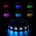 LED luminous cat collar showing 7 colour-changing lights on a polyester band with USB charging port