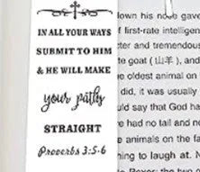 Stainless steel metal bookmark with European style design in steel colour for Bibles and books