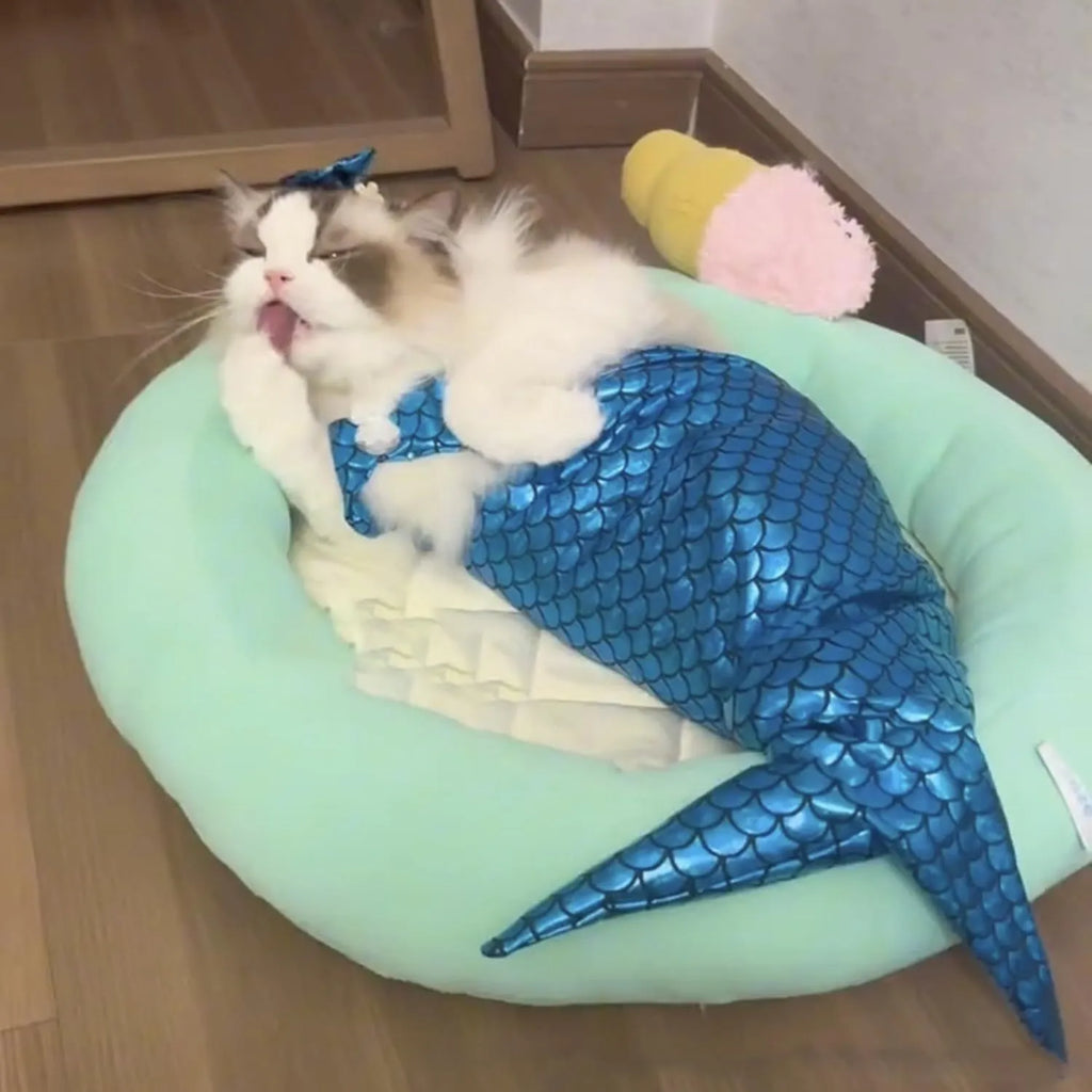 Blue mermaid tail costume with elastic chest strap on a cat, showing colourful scales and fish tail design.