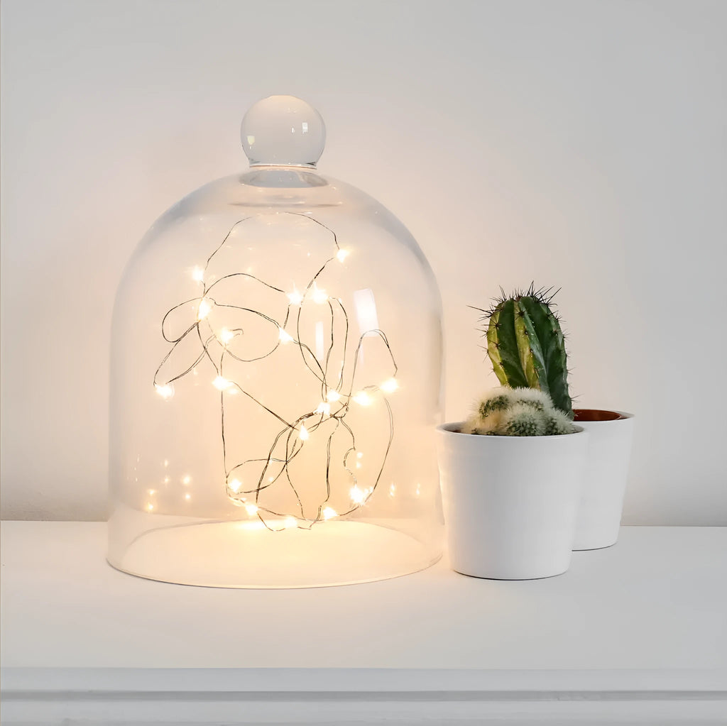 LED copper wire light string with battery box showing flexible 2 metre length with 20 white lights