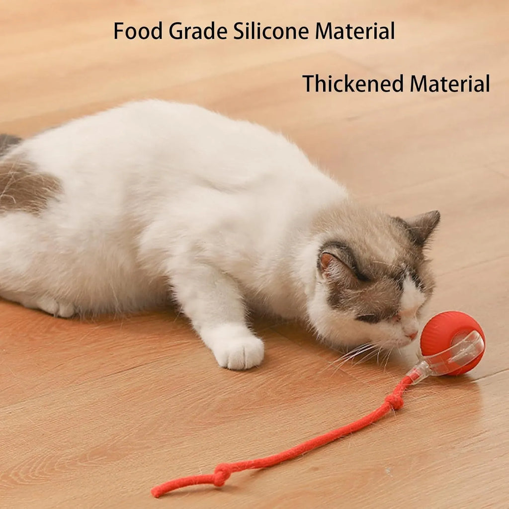 Interactive automatic rolling ball pet toy with rope tail in grey, green, and red colour options