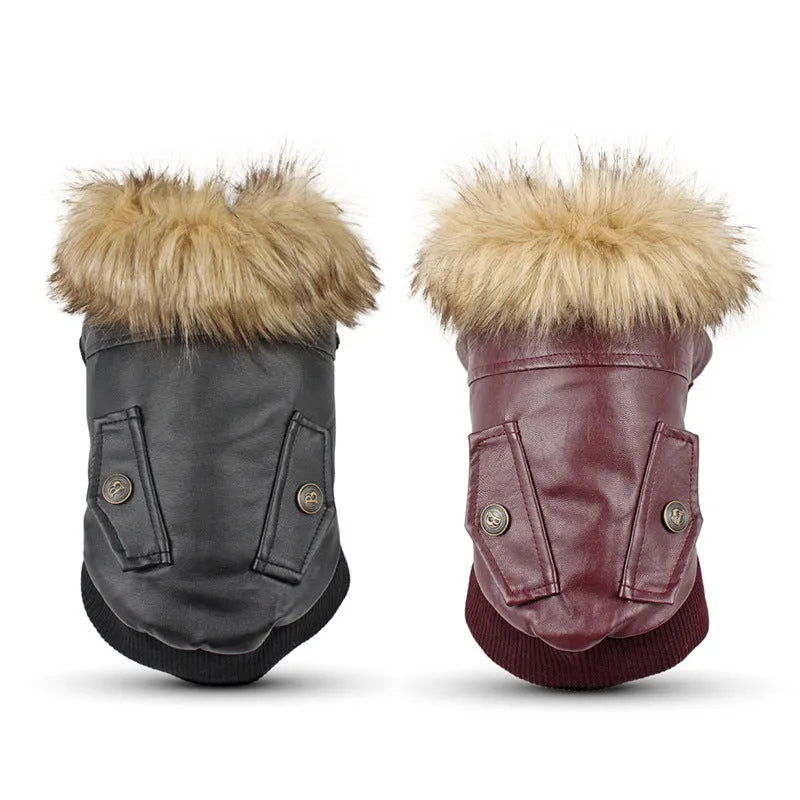 British-style leather dog coat in black and wine red colours for autumn and winter seasons