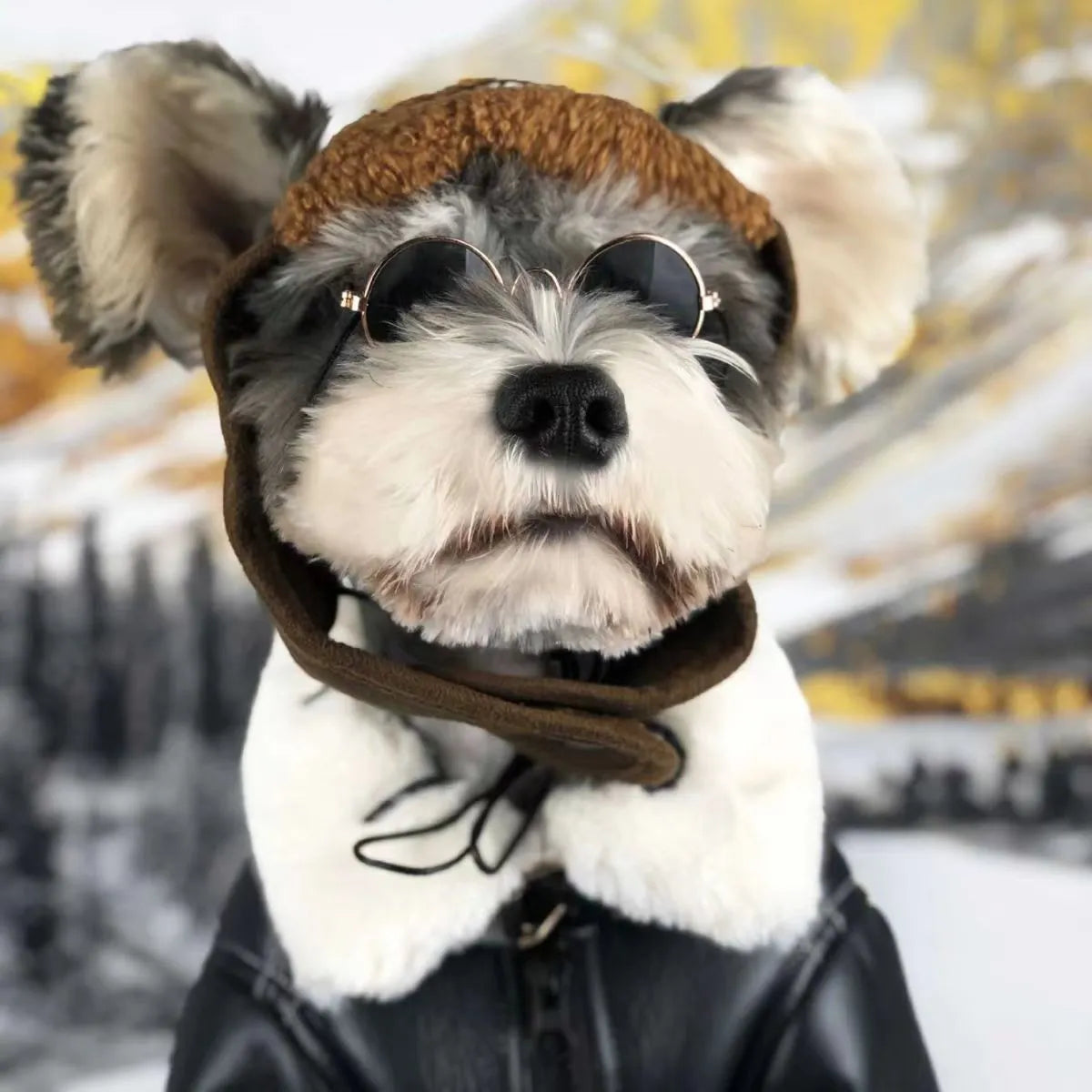 Leather dog jacket in black and brown colours for autumn and winter wear