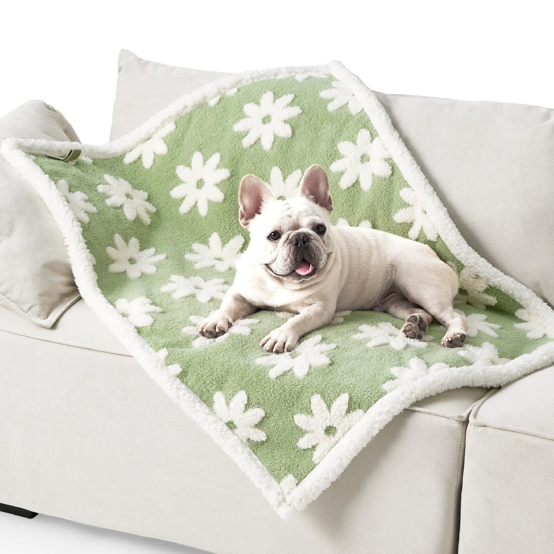 Shu cotton thickened waterproof pet blanket in blue sky white clouds pattern showing soft texture