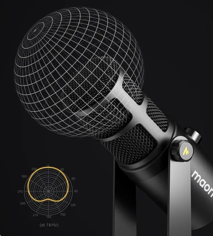 Tianwang Core moving coil microphone with metal body, XLR and USB cables, and stand on desk