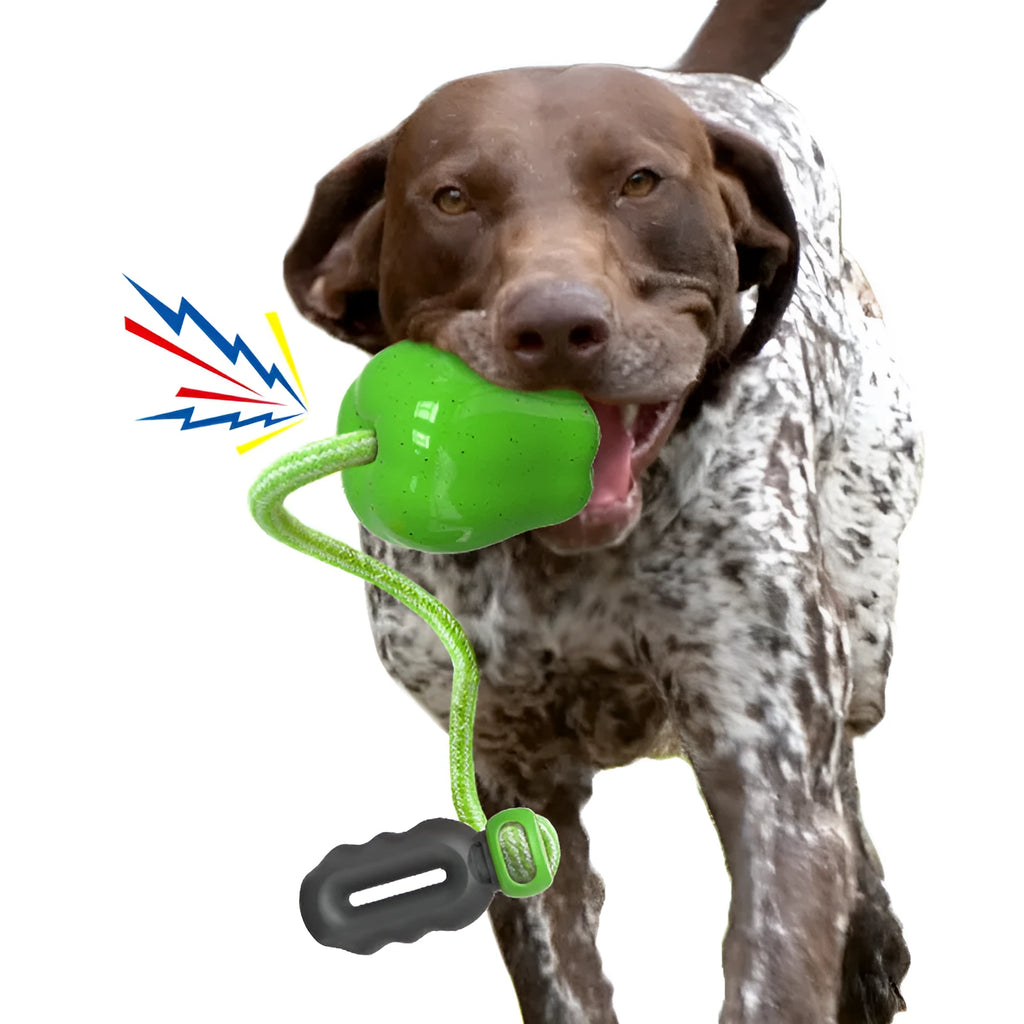 Apple-shaped plastic dog molar toy with squeaker and food dropping ball in green and red colour options.