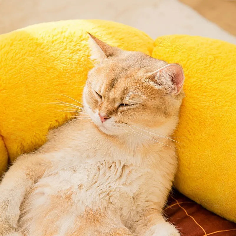Soft PV velvet cat nest mat pet bed with removable cover in sunflower, dinosaur, or chinchilla patterns.