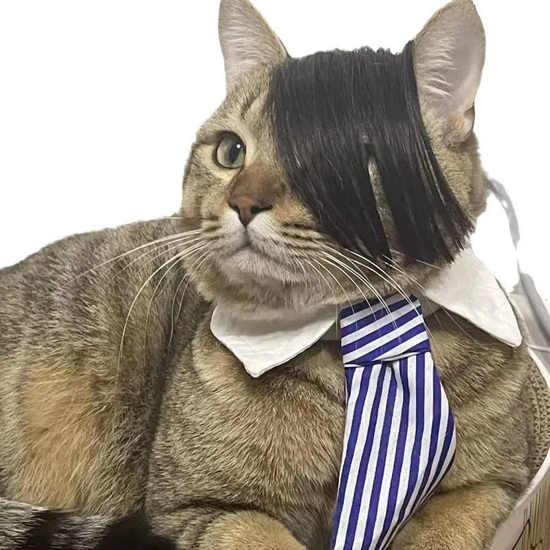 Black polyester cat wig with imitation braid design for costume wear