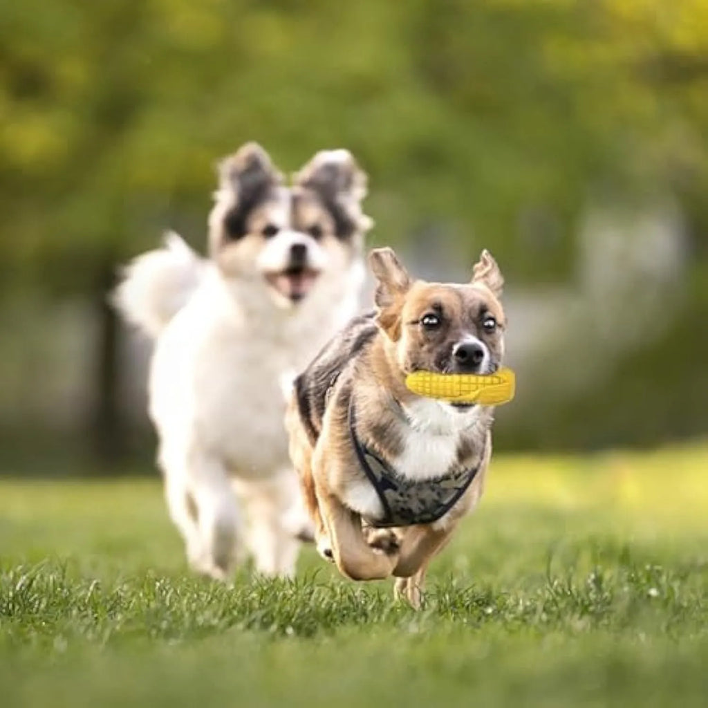 Blue and yellow corn-shaped dog chew toy for medium large breed aggressive chewers