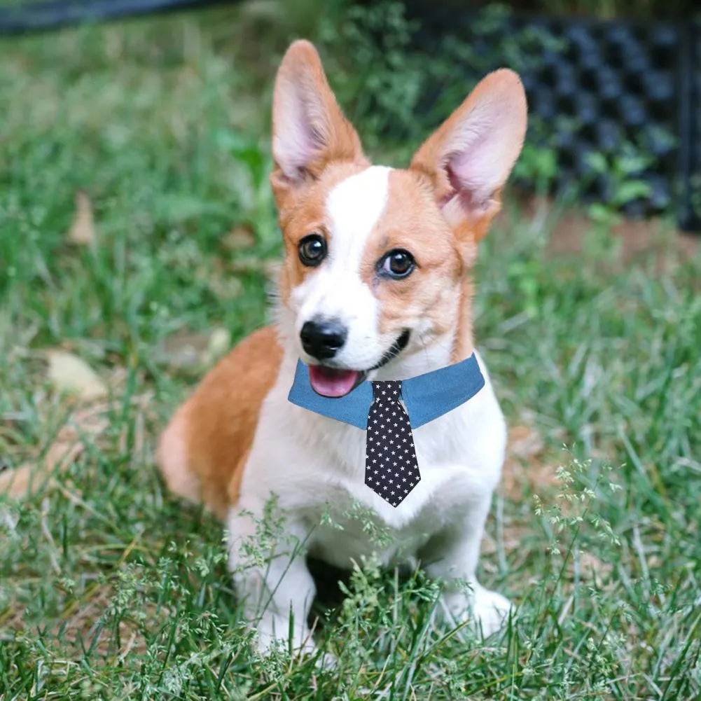 Denim pet collar with star pattern necktie on adjustable fastener tape for dogs