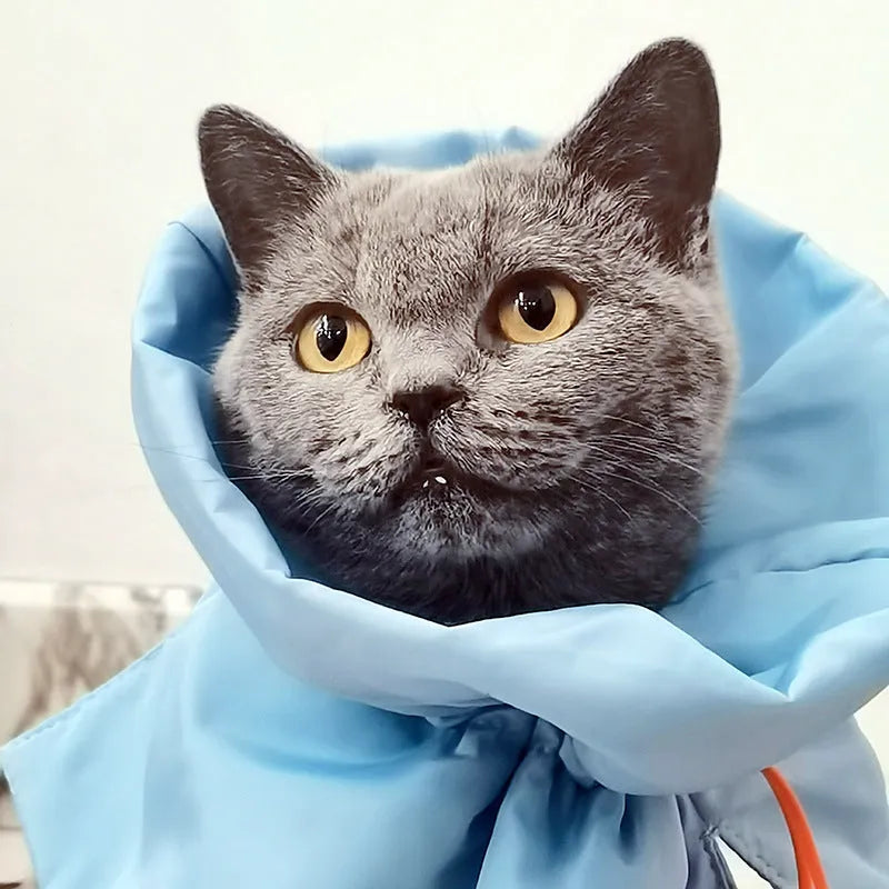 Soft adjustable light blue pet recovery collar with elastic buckle shown on a cat model.