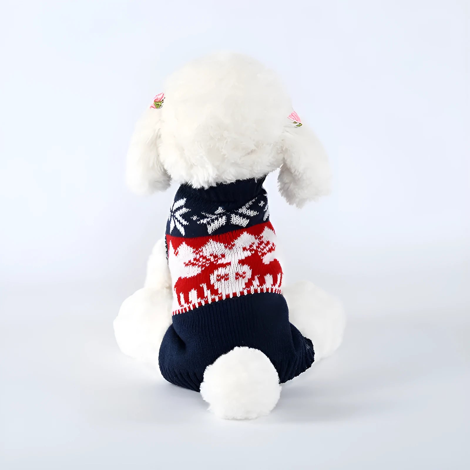 Navy blue knitted Christmas sweater for dogs showing European American styling on pet model