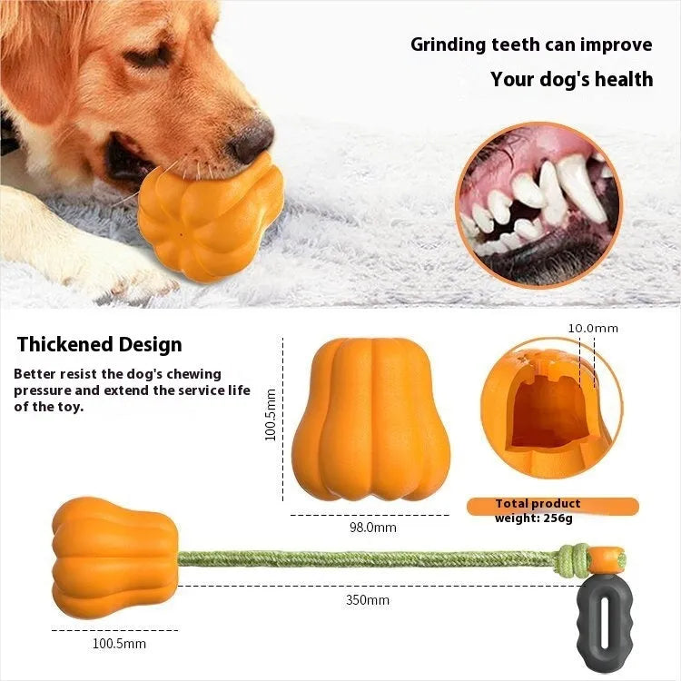 Orange plastic molar-shaped dog toy with attached rope for outdoor fetching and tugging games
