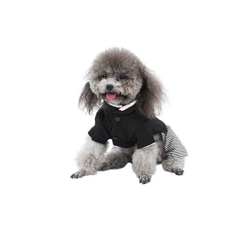 Cotton dog clothes for poodles in skirt or four-legged pants styles for spring and autumn wear
