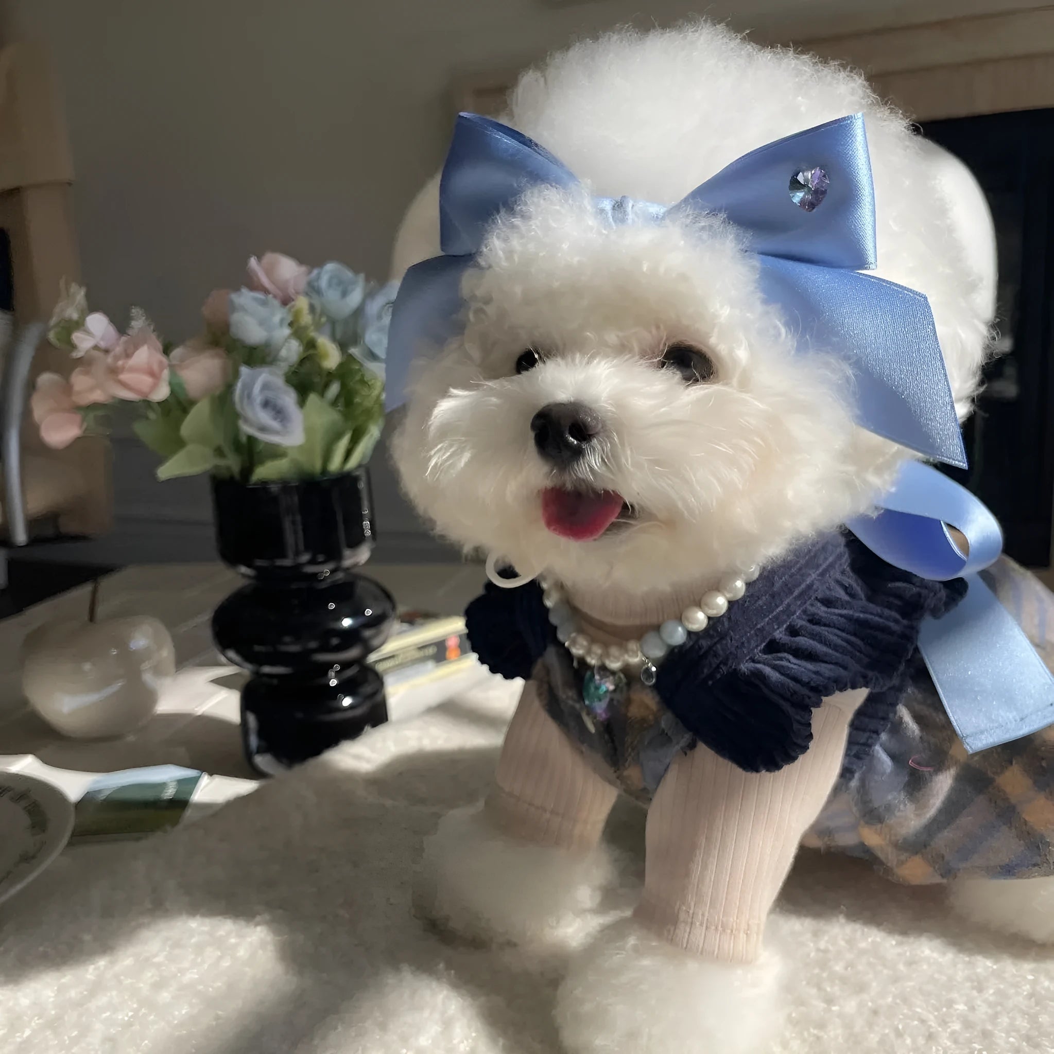 Blue princess style dog hair band with adjustable bow on a dog's head.