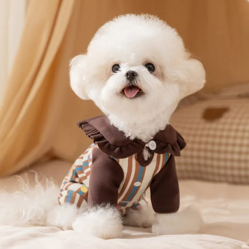 Brown small dog onesie with bear-embroidered ruffled collar, striped blue and brown body, and paw print patch