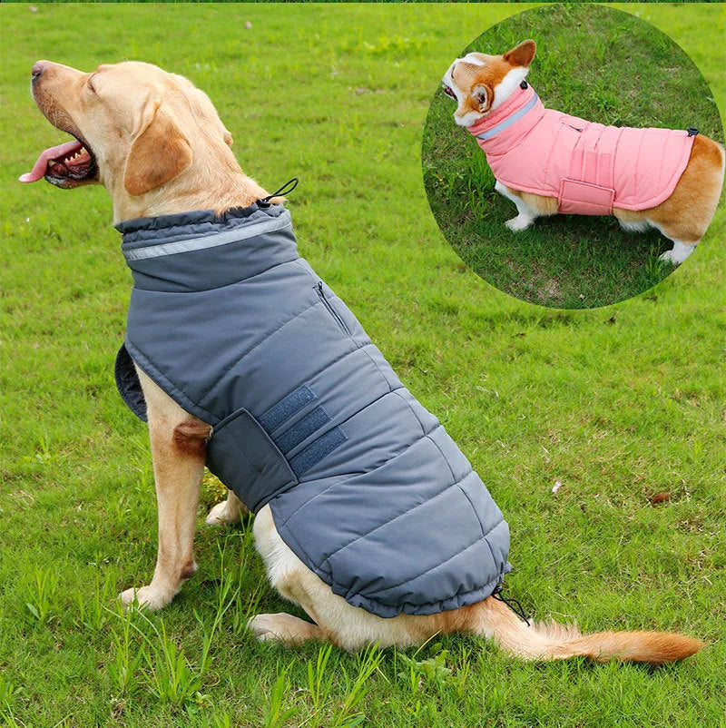 Dog trench coat cold-proof rain-proof in Gray Pink Red, sizes S XL, with bust and back length measurements