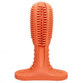 Dog toothbrush bite resistant molar toy in rubber, large and medium sizes, green blue orange