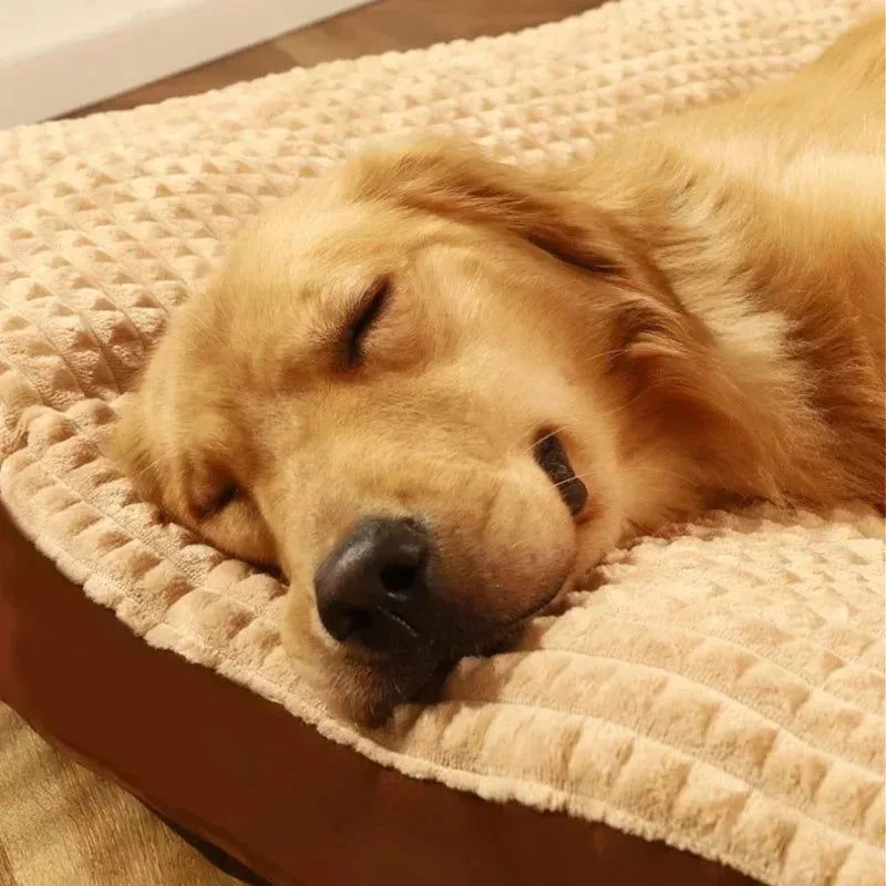 Coffee-coloured fleece dog bed with a detachable cushion, shown in a large size suitable for a big dog.