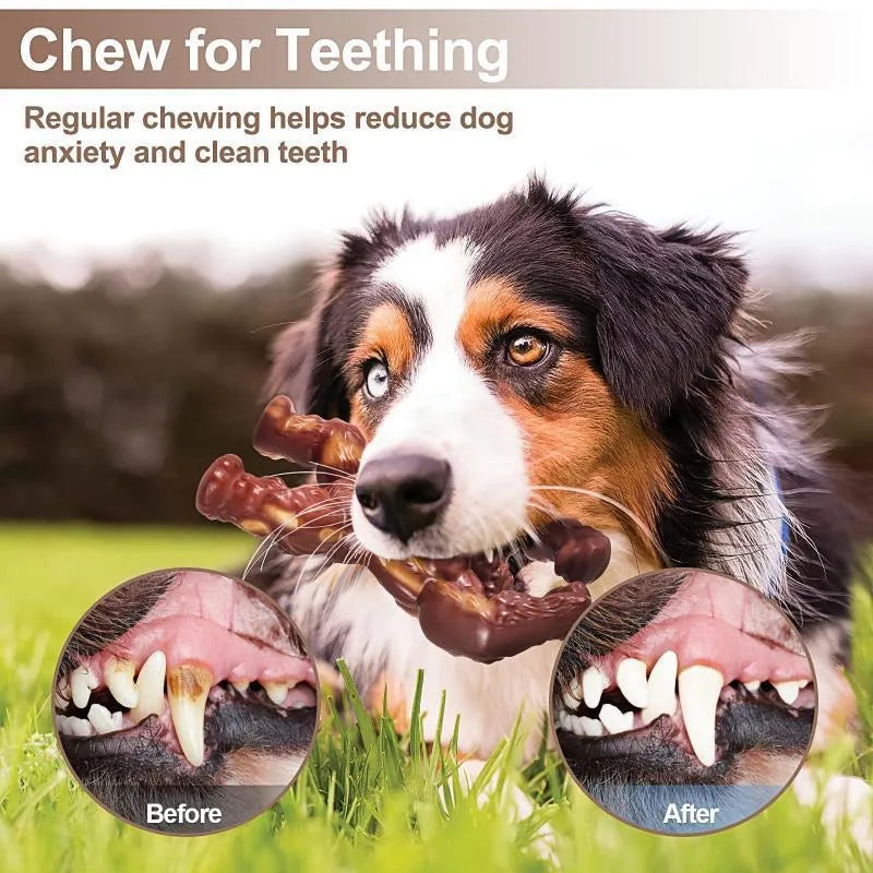 Scarlet-coloured nylon dog chew toy with beef flavour for gnawing.