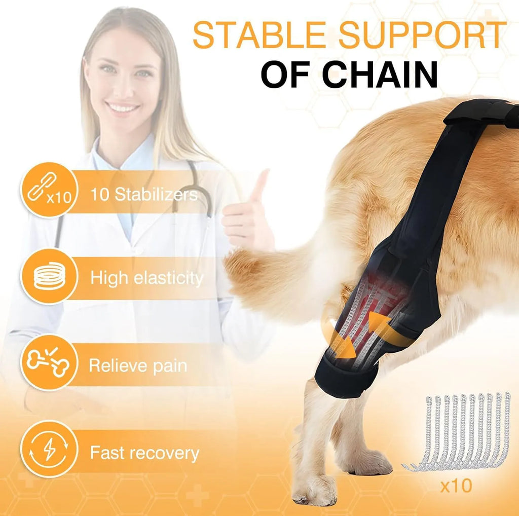 Dog leg protector knee brace auxiliary belt in sizes S M L for pet joint protection