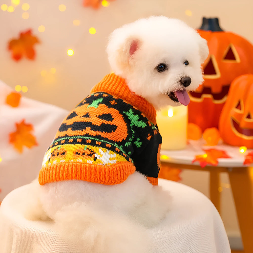 Acrylic pet dog jumper in Halloween or Christmas design, sizes XS-XL for small dogs and cats