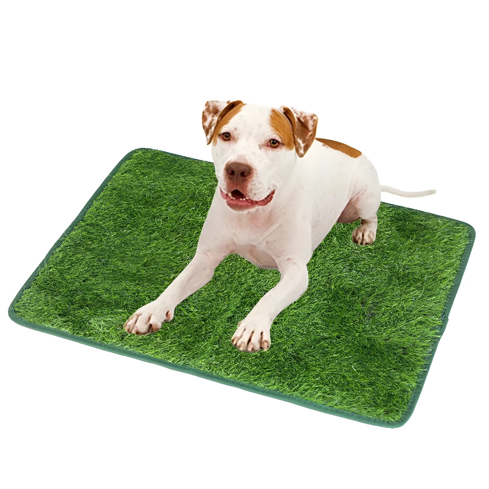 Green dog grass pee mat with realistic texture for indoor outdoor pet training