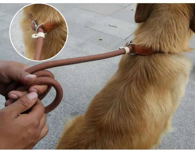 Brown nylon dog leash with P-chain clip measuring 2.1 metres long