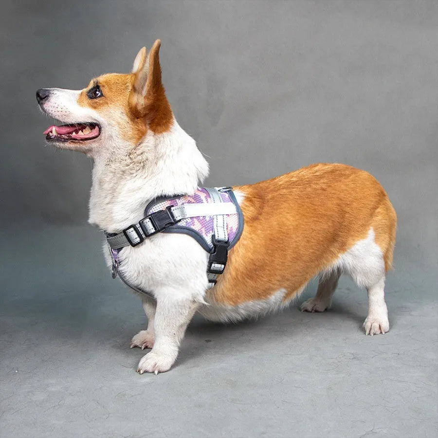 Colourful reflective pet harness with anti-strangulation design in polyester material