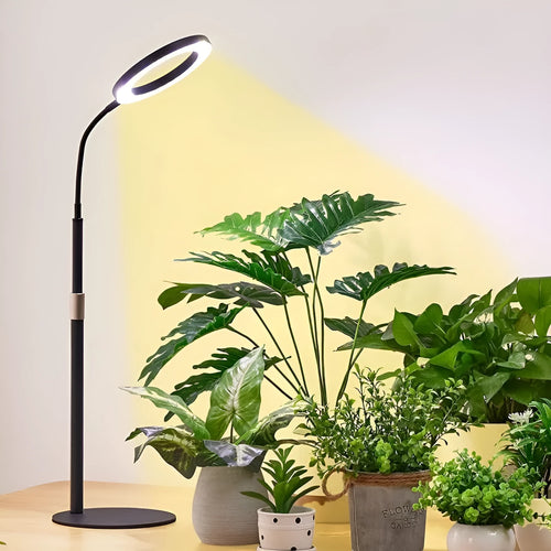 A floor-standing 6-inch angel ring LED grow light with a tall, thin retractable stand.