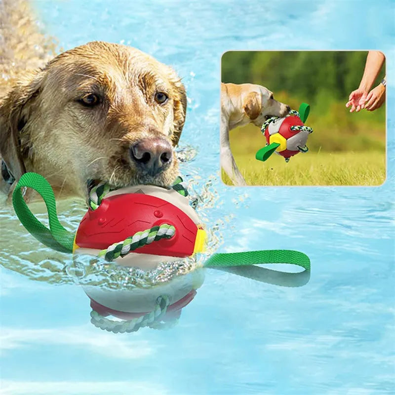 Interactive dog football soccer ball with tabs in blue, showing sphere form with cotton rope and nylon tug rope, on grass