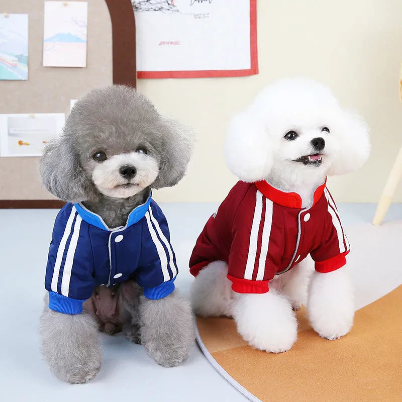 Red and blue V-neck thick cotton dog coat for pets on a size chart background