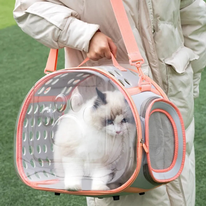 Transparent hard EVA cat carrier backpack in lake blue colour showing interior dimensions