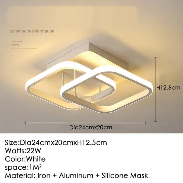 Nordic aluminium ceiling light with remote control in black colour for corridor entrance hall