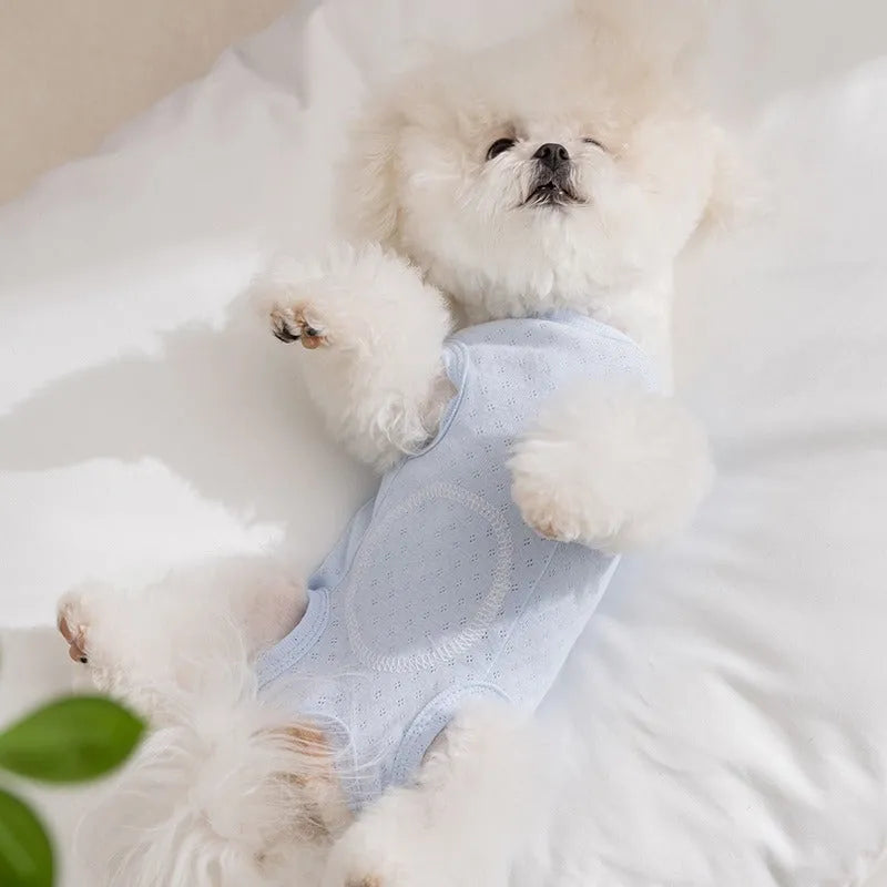 Pet shirt in soft yellow mesh fabric with cat patches and button closure on white background