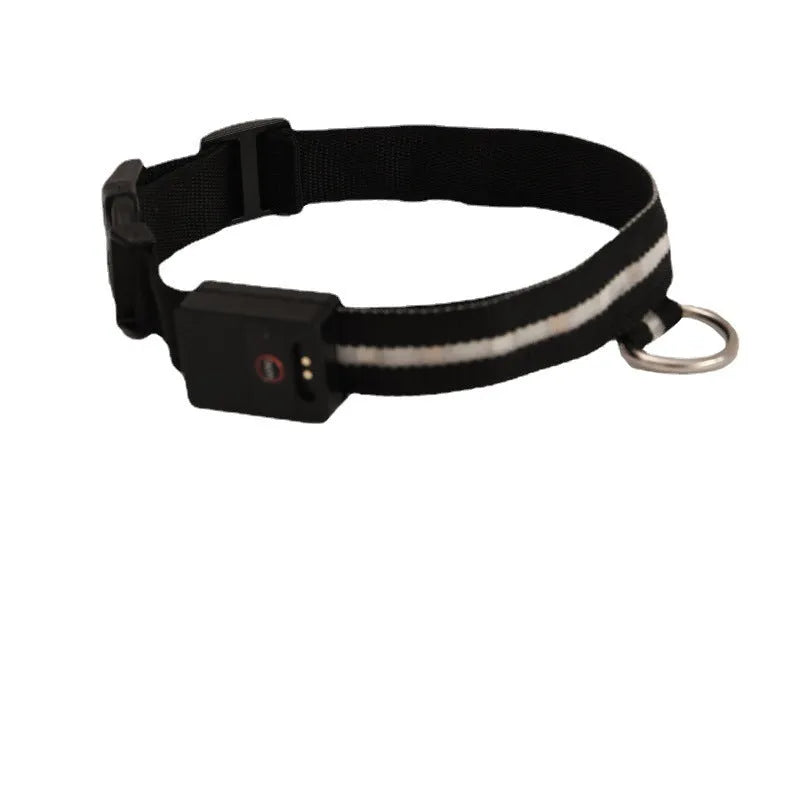 Black LED luminous dog collar and matching rope lead set for nighttime walking safety.
