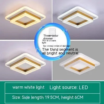 Modern ceiling light for corridor hallway living room with three colour options and wide voltage range