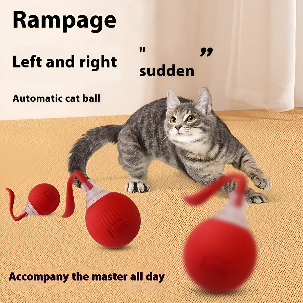 Interactive cat toy ball with realistic bird song for high-energy cats, available in red, green, and gray
