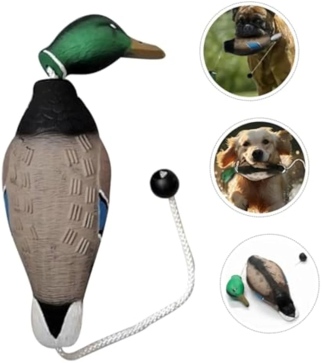Green no-stuffing duck dog toy made from EVA, 35 cm x 10.5 cm x 8 cm, with quacking sound for chewing and training.