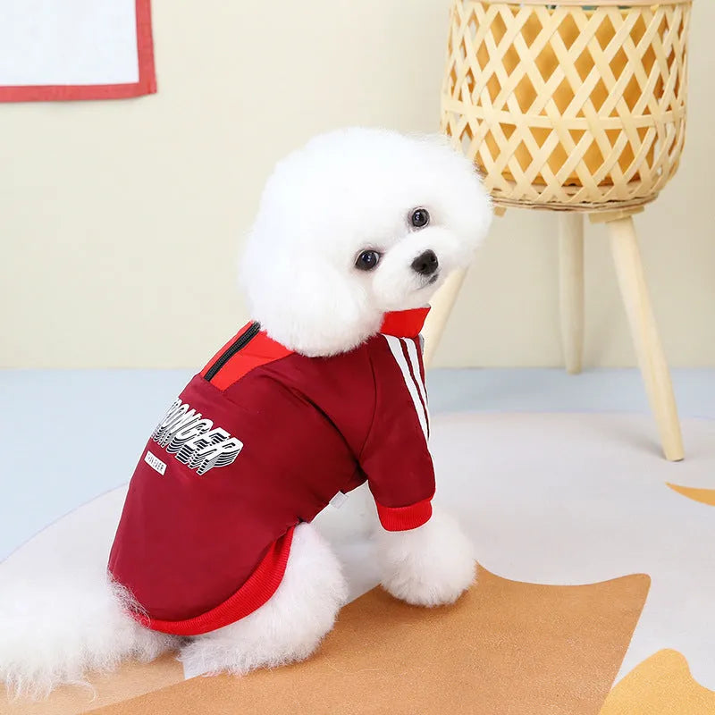 Red and blue V-neck thick cotton dog coat for pets on a size chart background